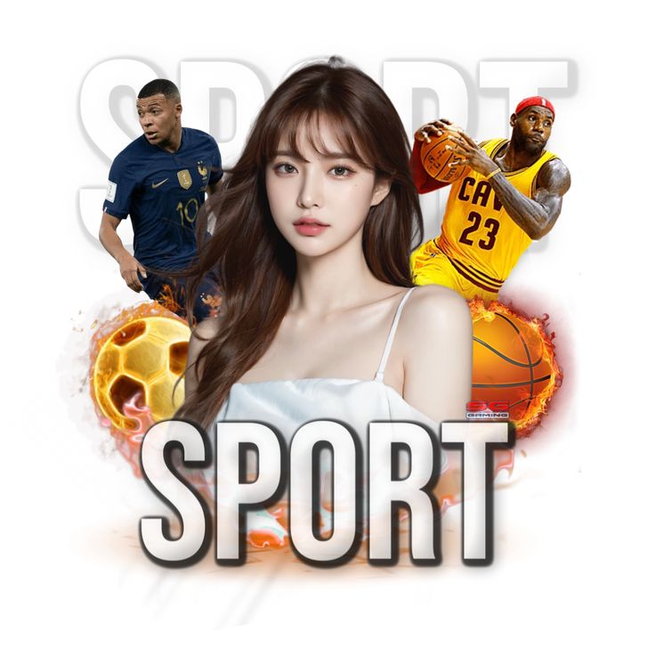 体育手机APP下载登录线路